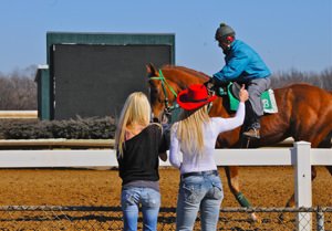 Horse Racing Wagering: Picks & Selections